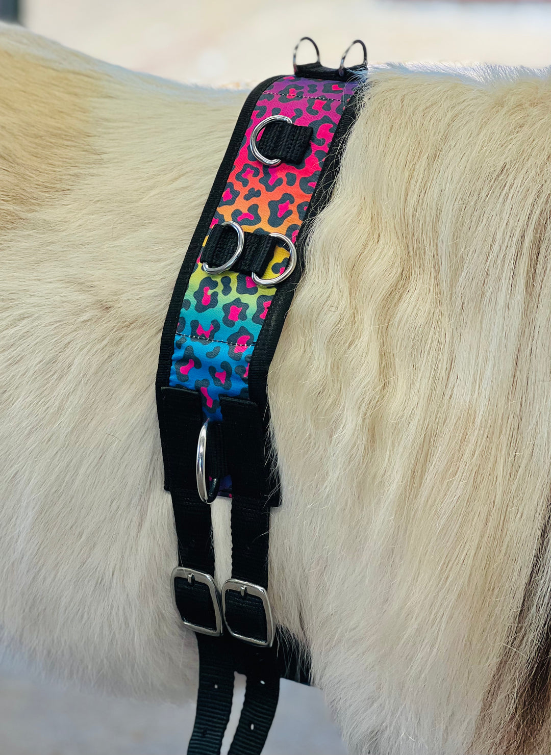 Surcingle Set Miniature Horse-Pony Ground Driving Surcingle/Reins Set – Star Point ...