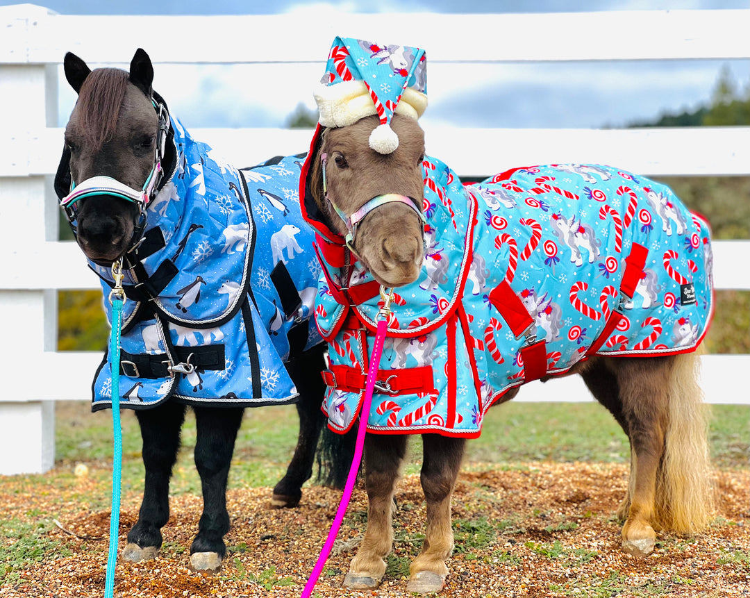 Candy Cane Pony 220 Mid-Weight Blanket & Halter Set 38-80" - Star Point Horsemanship