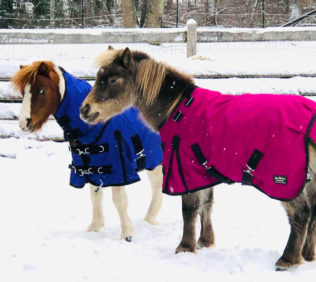 Mini-Pony Lycra Body Suits - (PRINTS) – Star Point Horsemanship