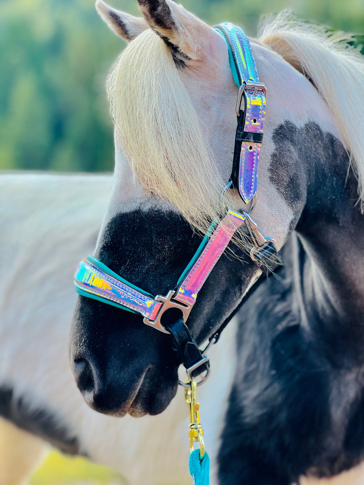 Holographic Padded Leather Halter - Mini to Horse Size - Star Point Horsemanship