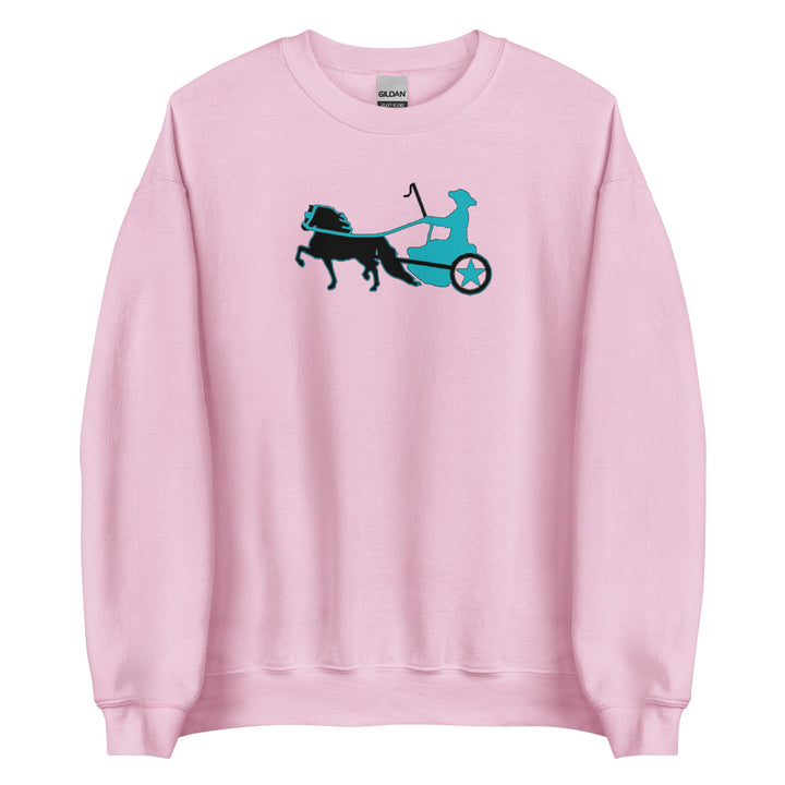Driving Pony Sweatshirt - Star Point Horsemanship