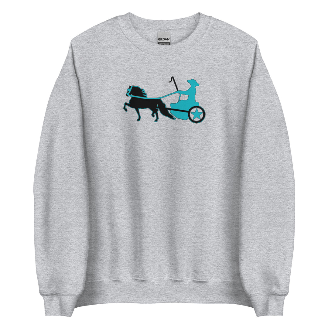 Driving Pony Sweatshirt - Star Point Horsemanship